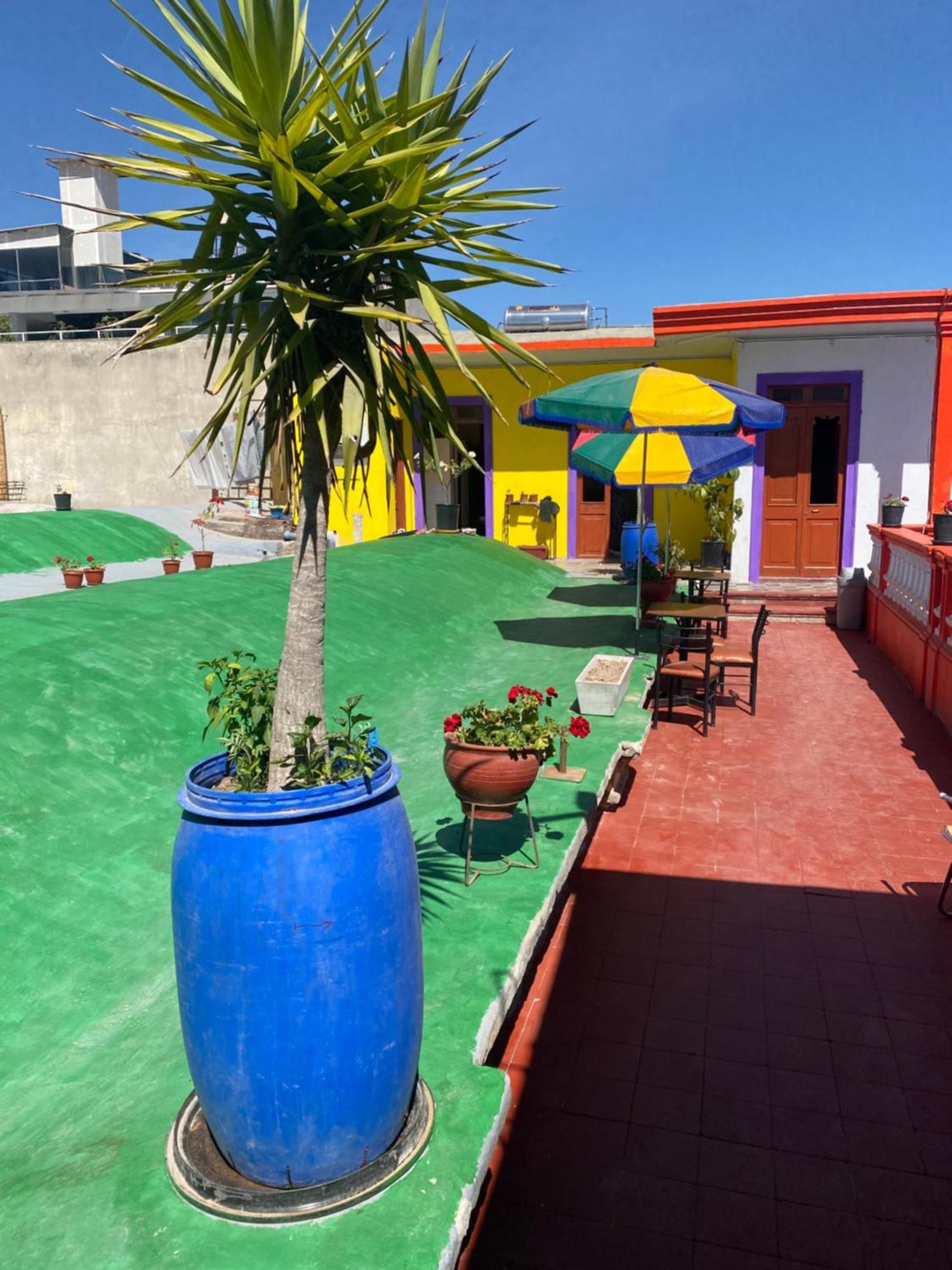 Pusary Hostel アレキパ エクステリア 写真